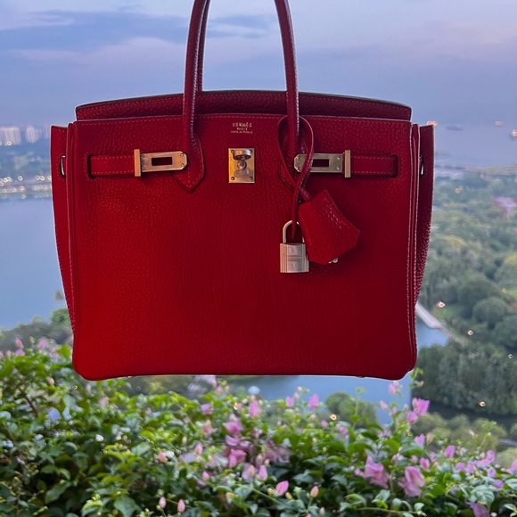 Hermes Handbags - HERMES Togo Birkin 25 with Palladium Hardware